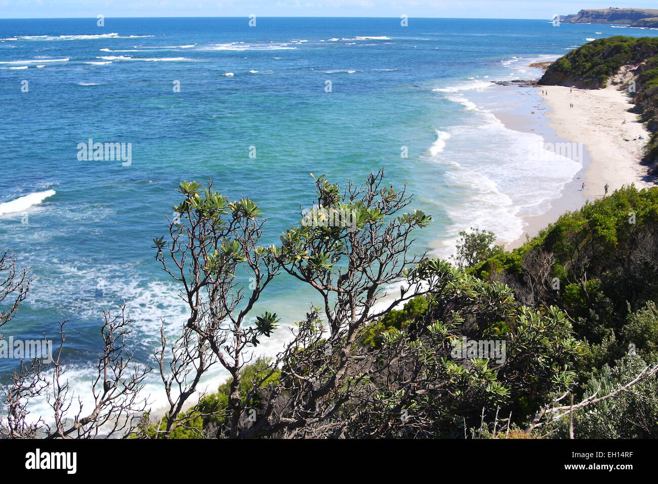 Mushroom reef marine sanctuary, Mornington Peninsula Stock Photo