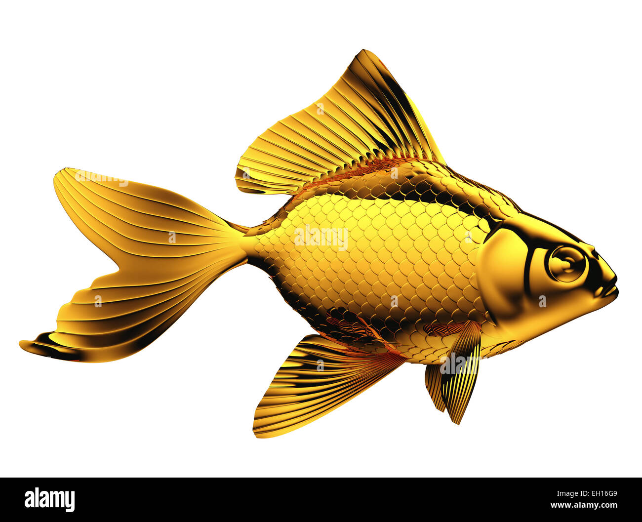 Goldfish with fins and scales isolated on white Stock Photo