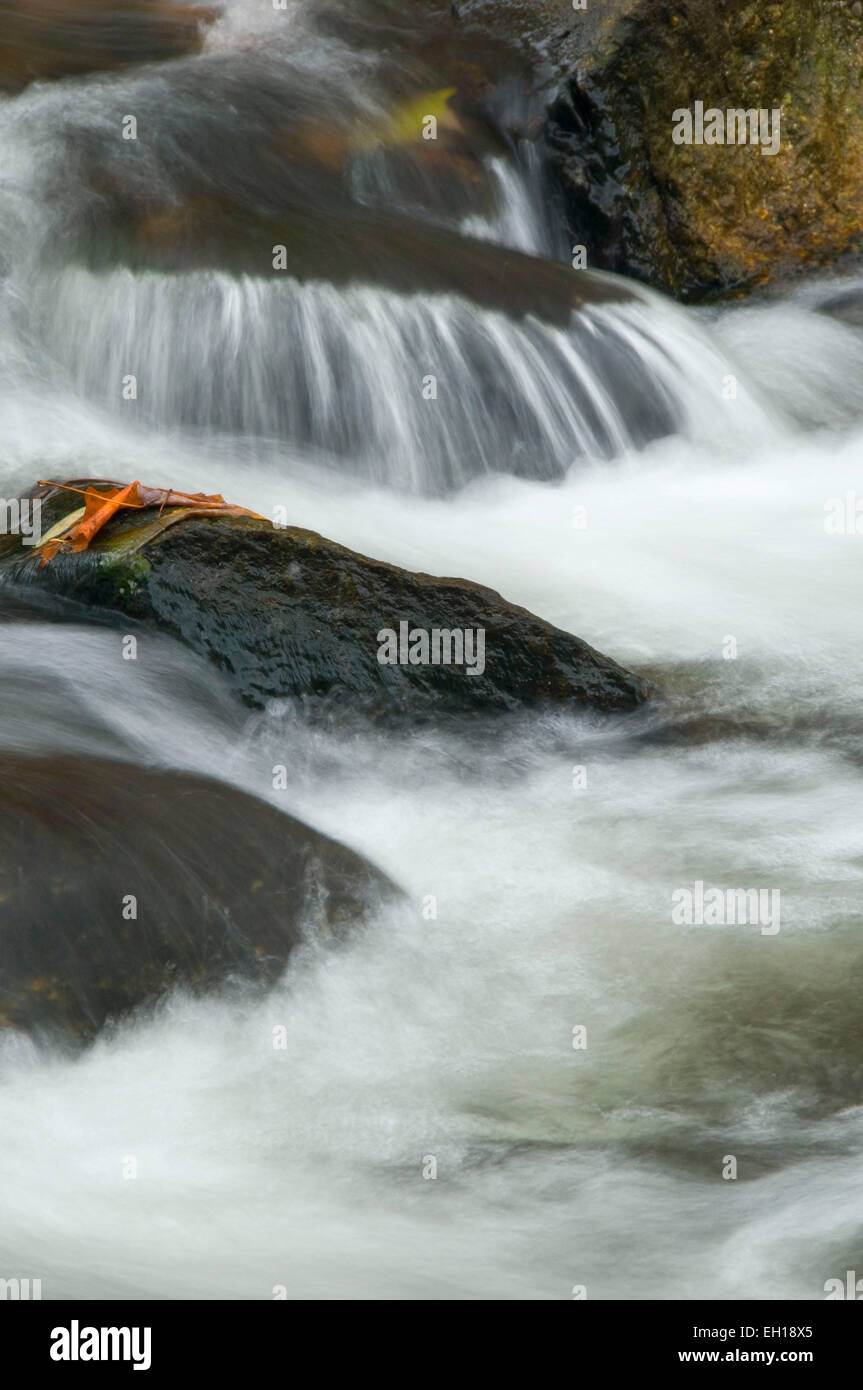 Burlington Brook, Farmington River Trail, Connecticut Stock Photo Alamy
