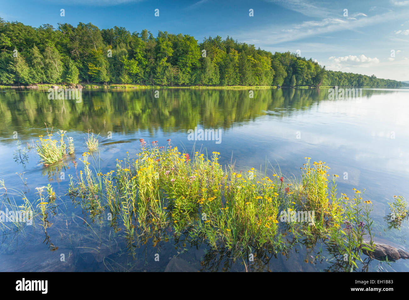 Madawaska River, Calabogie, Ontario, Canada. Stock Photo