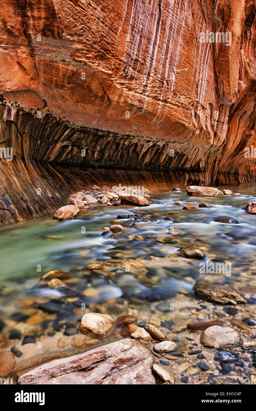 Reflective light illuminates the sandstone walls of The Narrows as the Virgin River rushes through Utah's Zion National Park. Stock Photo