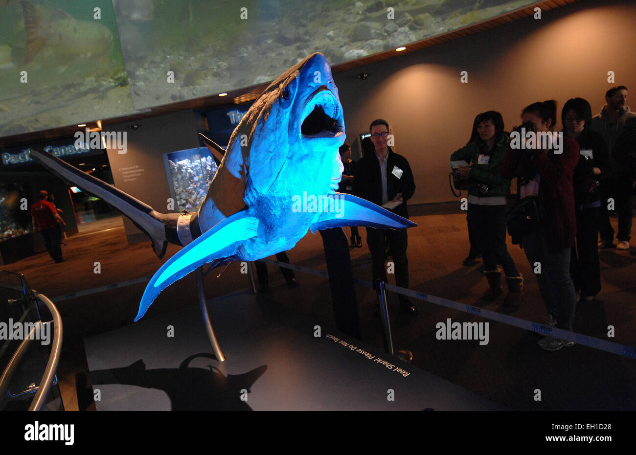 Marine science center hires stock photography and images Alamy