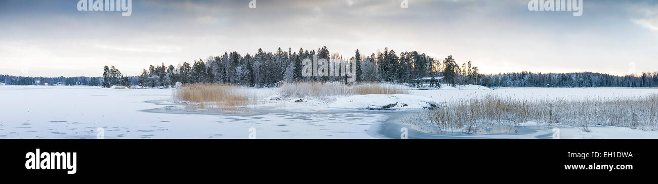 Fir trees on a small island amidst a frozen snow covered sea Stock Photo