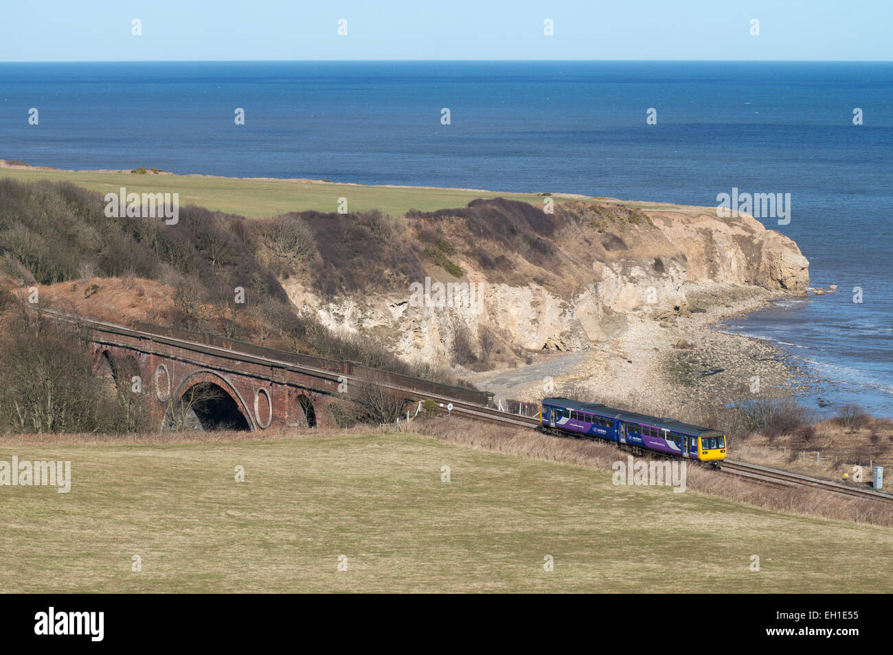 Pacer train passing Hawthorn Hive at the end of Hawthorn Dene, north east England, UK Stock Photo