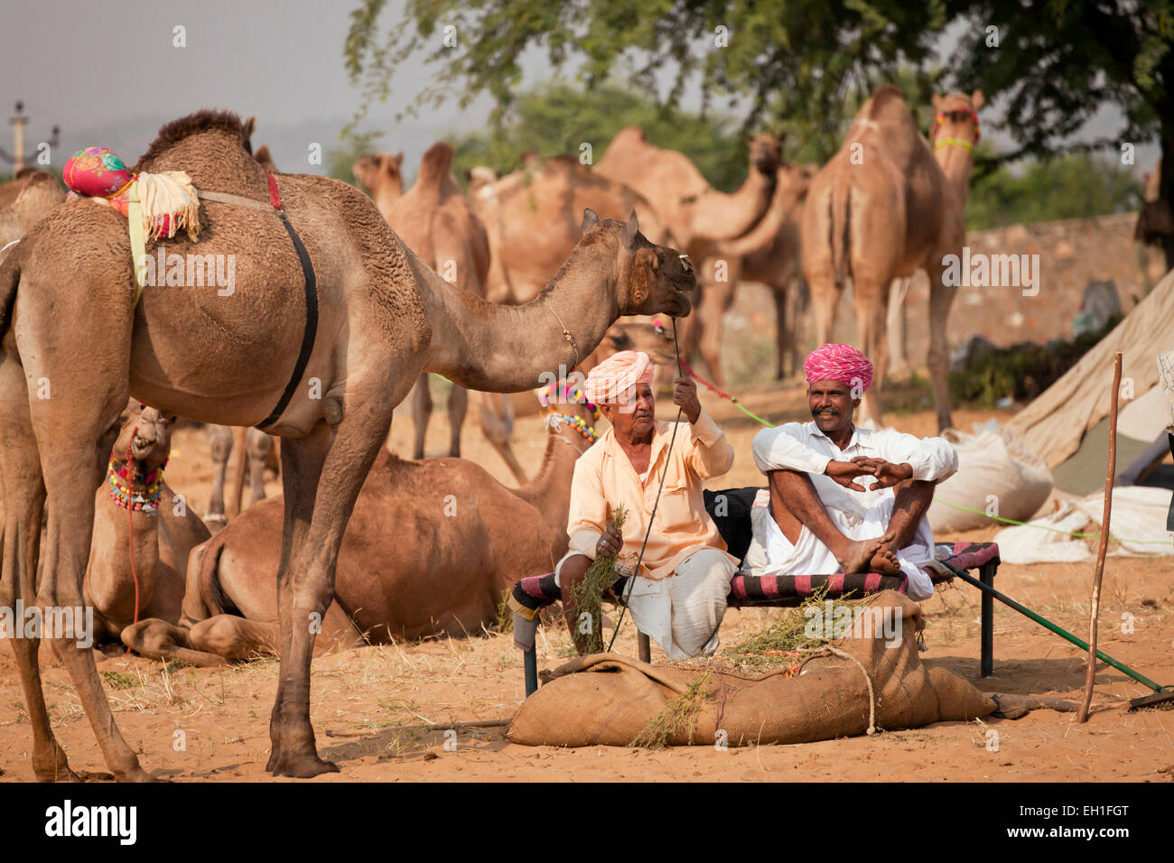 new design pants for ladies
