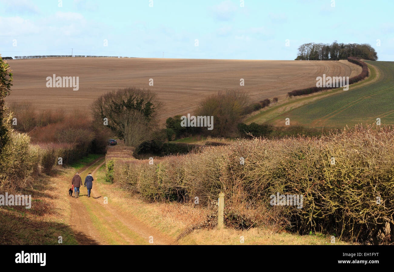 The Peddar's Way long distance path near Fring in Norfolk with a couple walking. Stock Photo