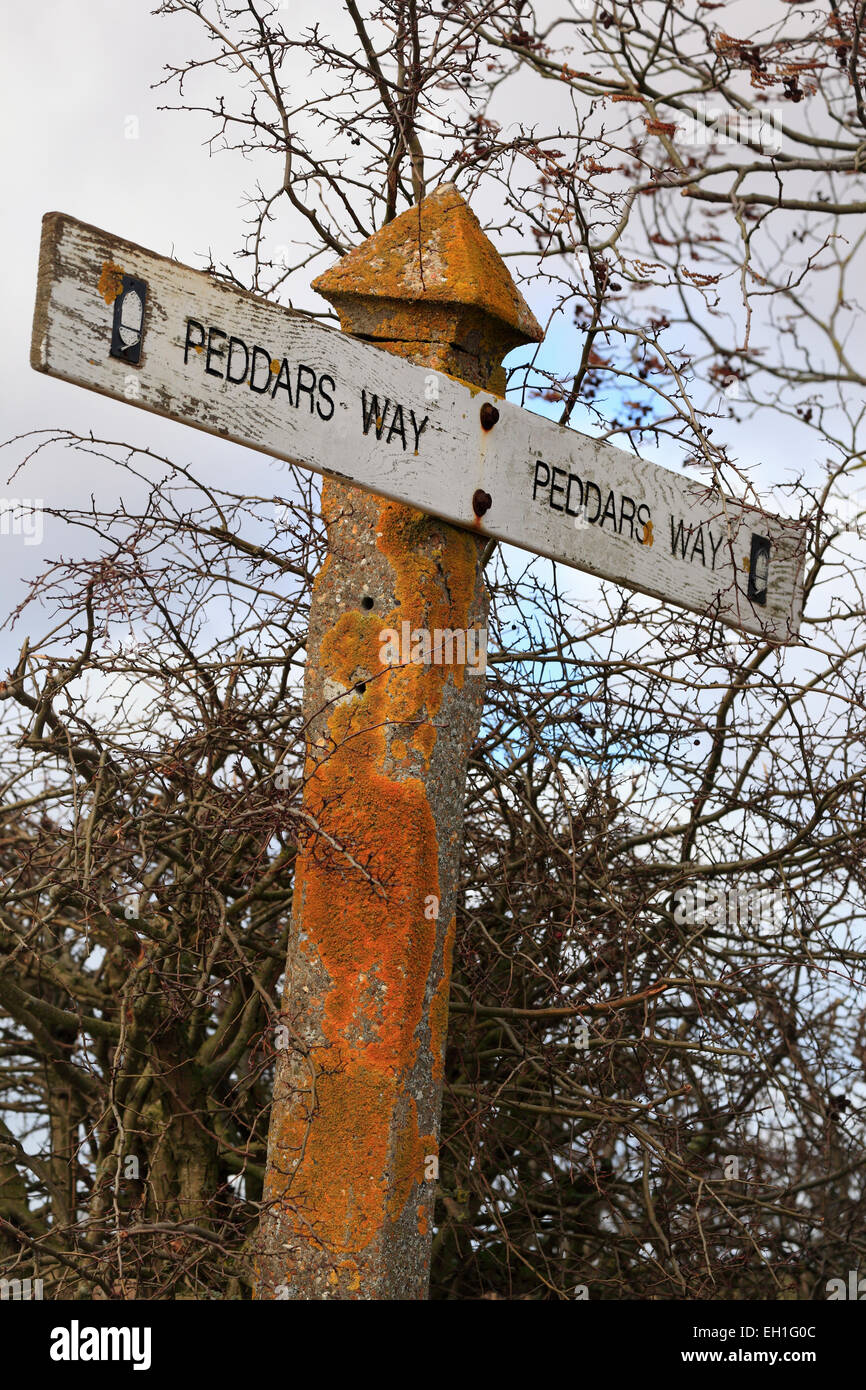Signpost for the Peddar's Way long distance walk near Fring in Norfolk. Stock Photo