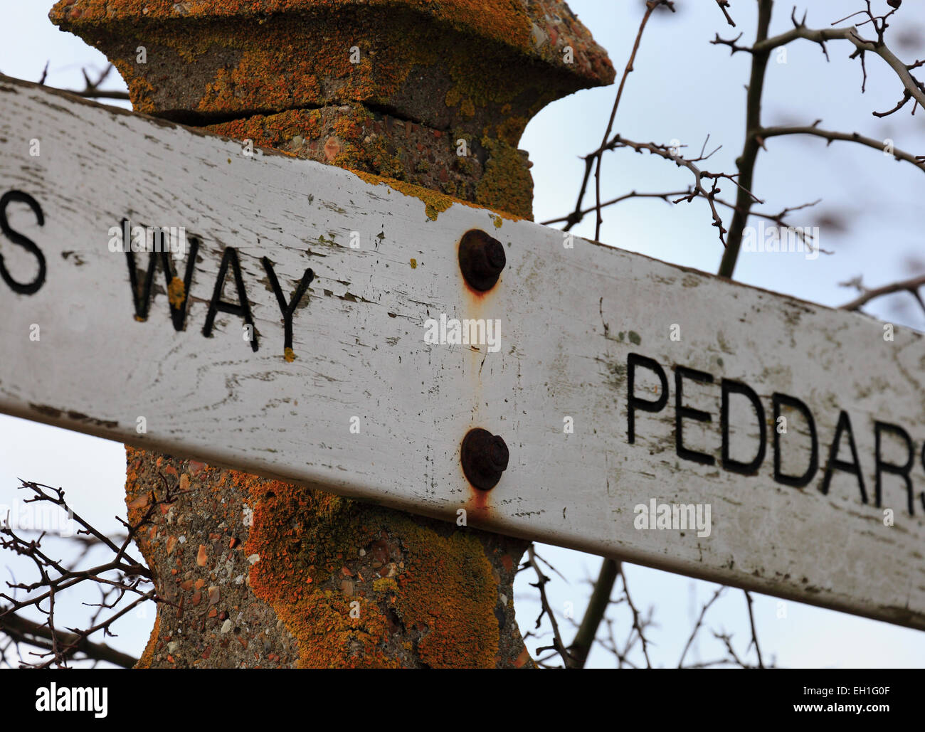 Signpost for the Peddar's Way long distance walk near Fring in Norfolk. Stock Photo