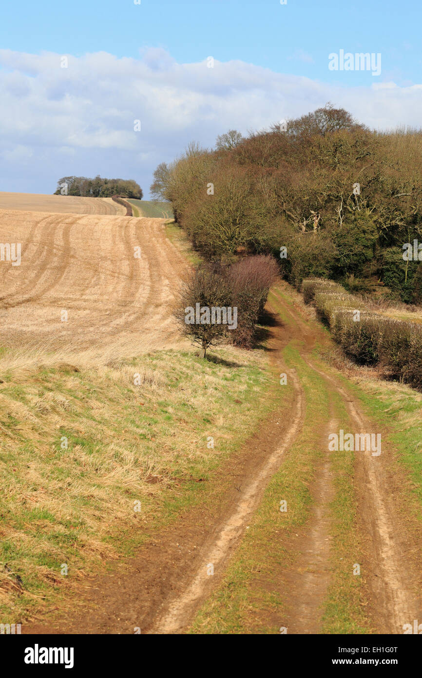 The Peddar's Way long distance path near Fring in Norfolk. Stock Photo