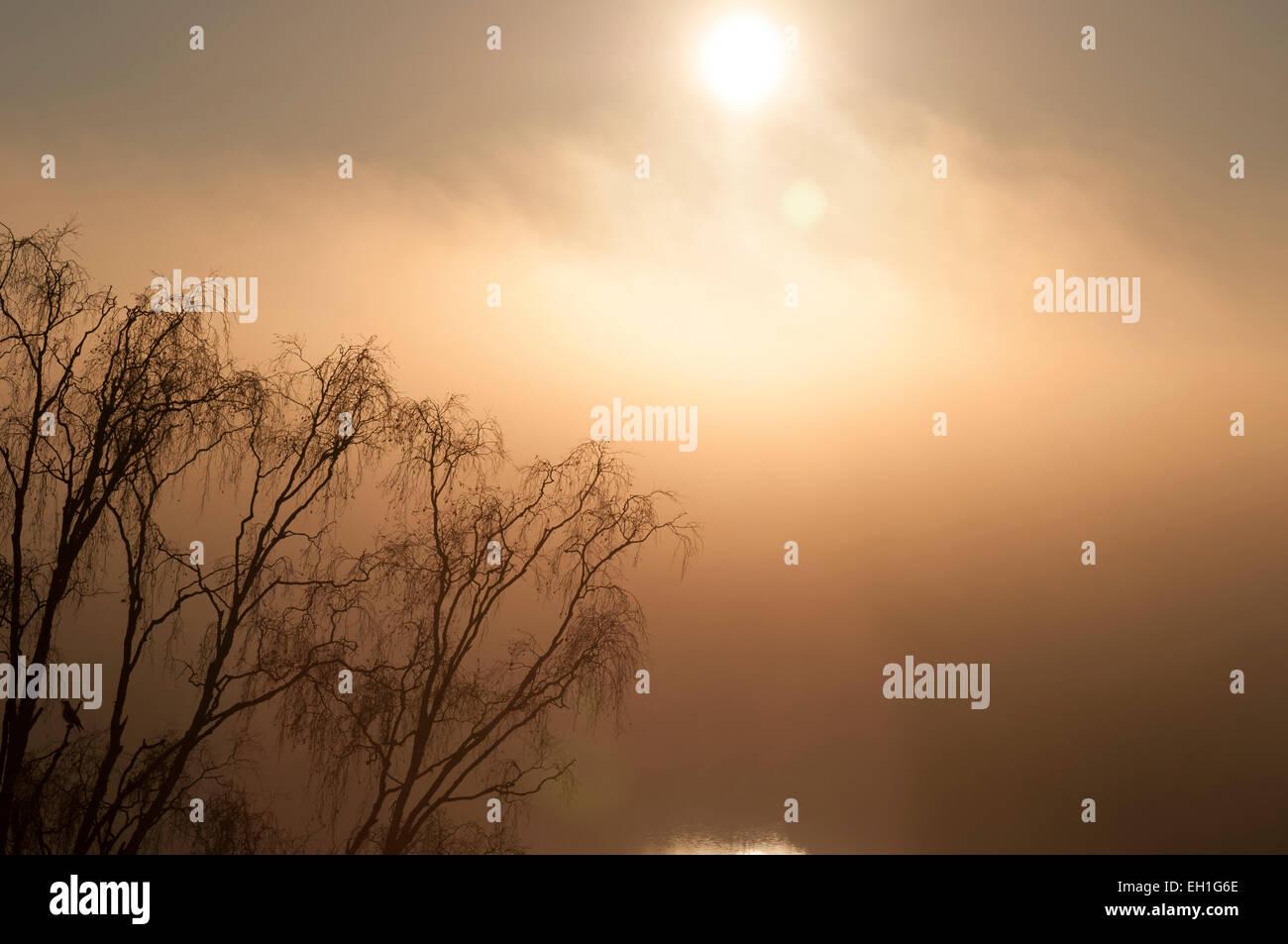 A cold early morning sun. Stock Photo
