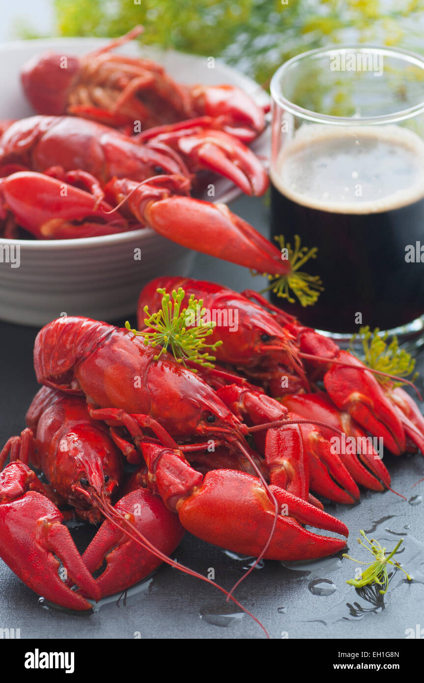 Swedish freshly cooked crayfish served with a  cold beer. Stock Photo
