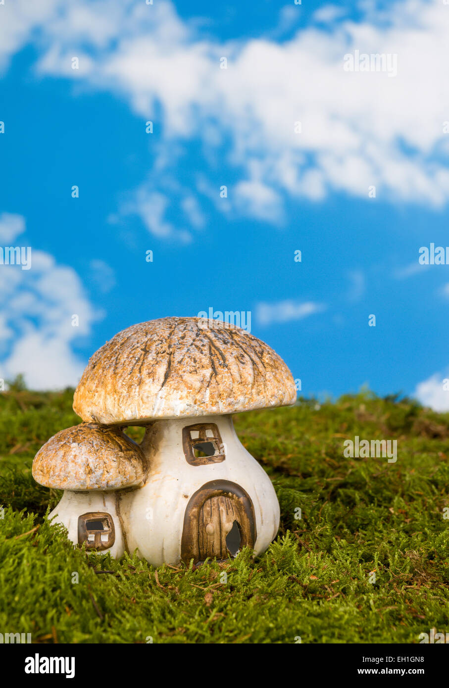 Fairytale Toadstool High Resolution Stock Photography And Images Alamy