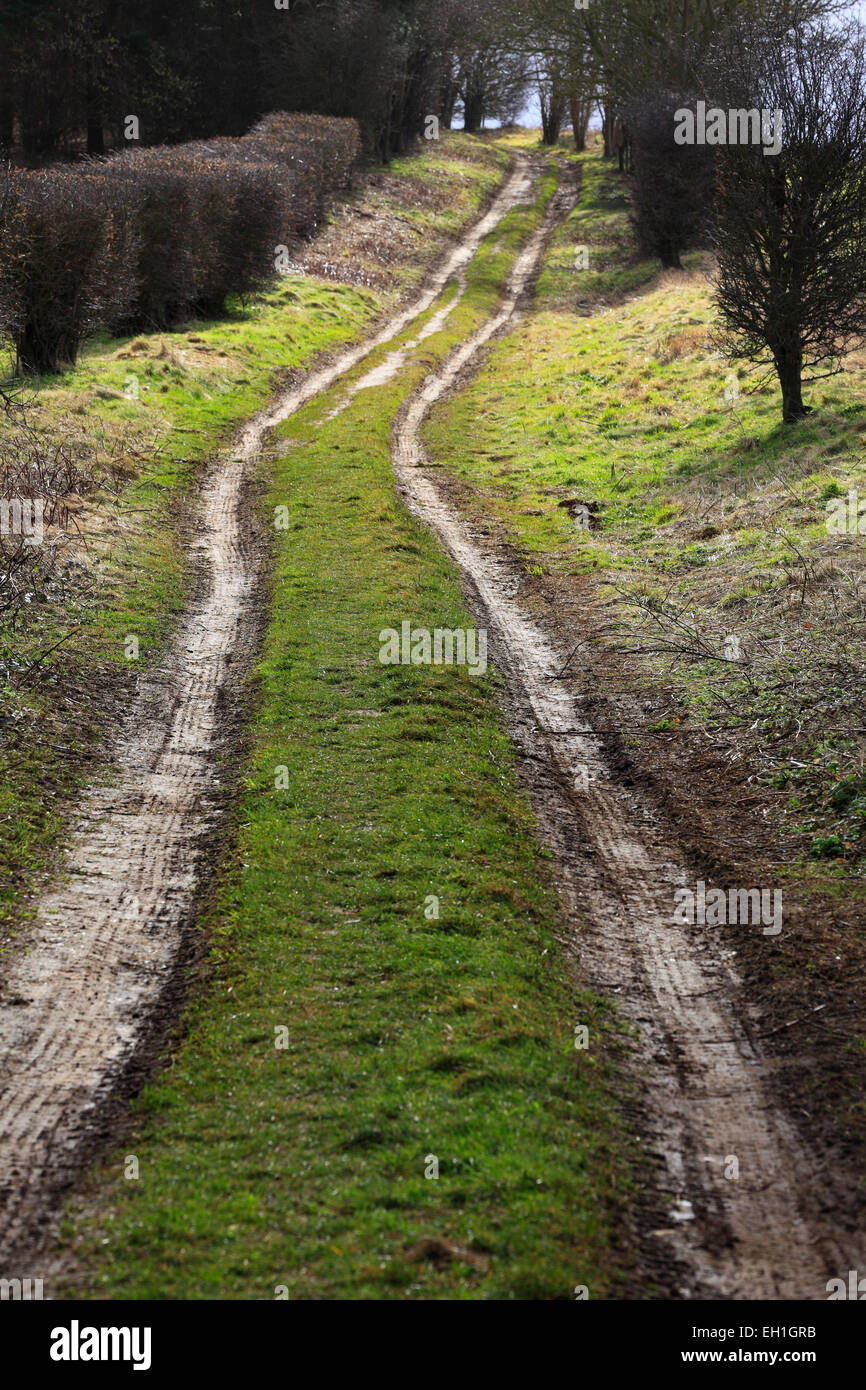 The Peddar's Way long distance path near Fring in Norfolk. Stock Photo