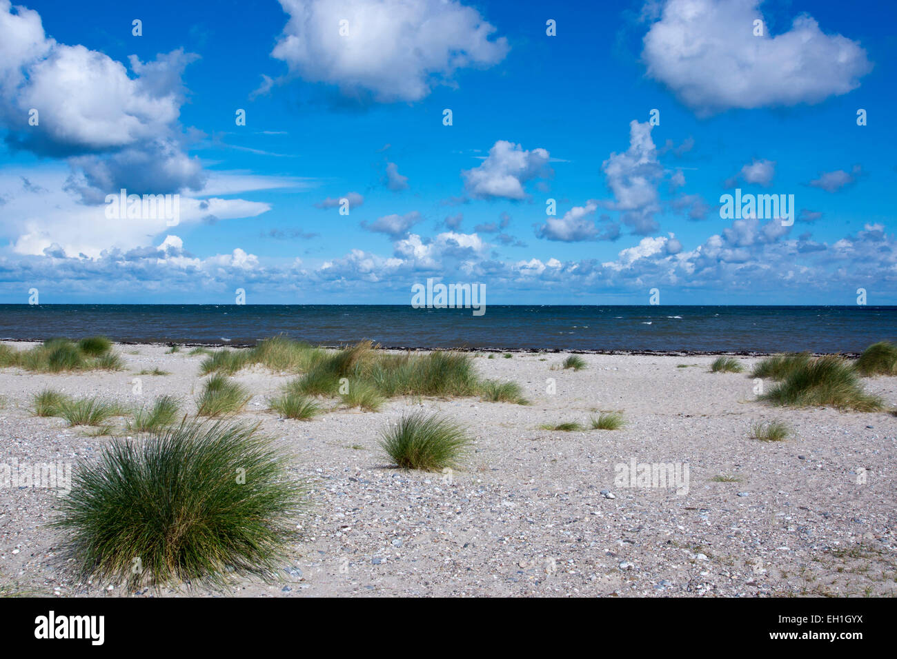 landscape in gruener brink nature reserve, fehmarn island, schleswig-holstein, germany, europe Stock Photo