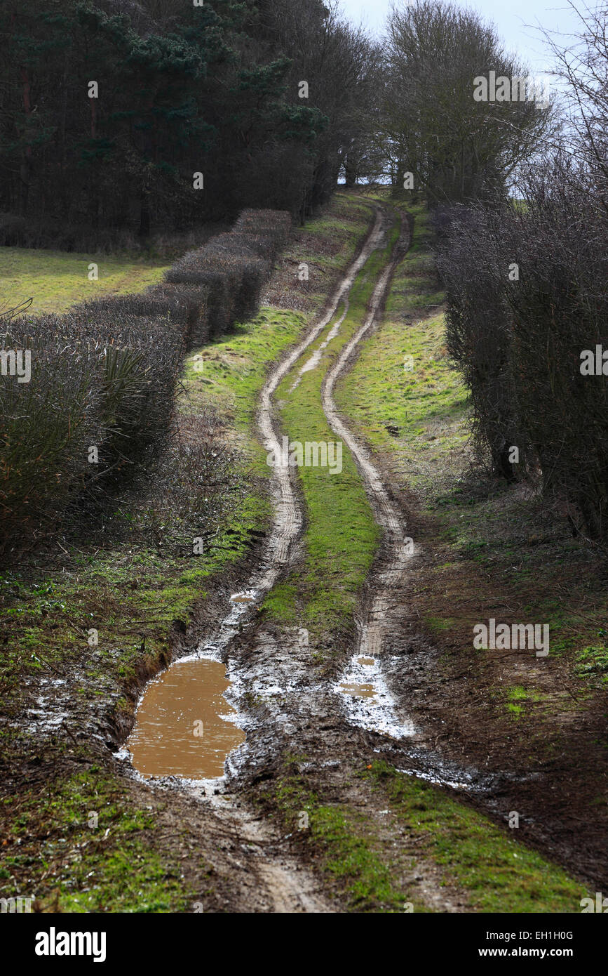 The Peddar's Way long distance path near Fring in Norfolk. Stock Photo