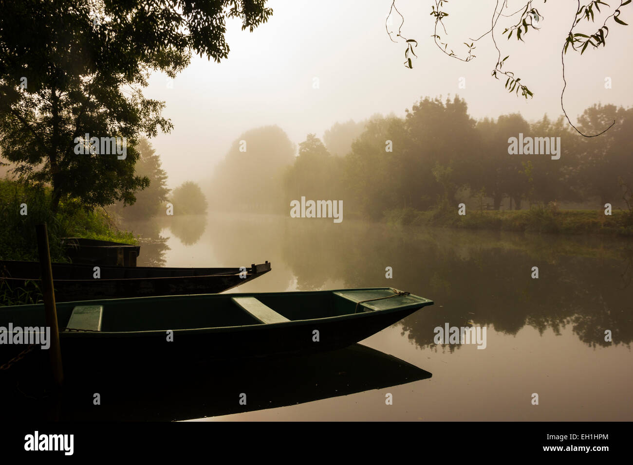 Boats on the River Sevre at dawn, Coulon, Deux Sevres, France Stock Photo