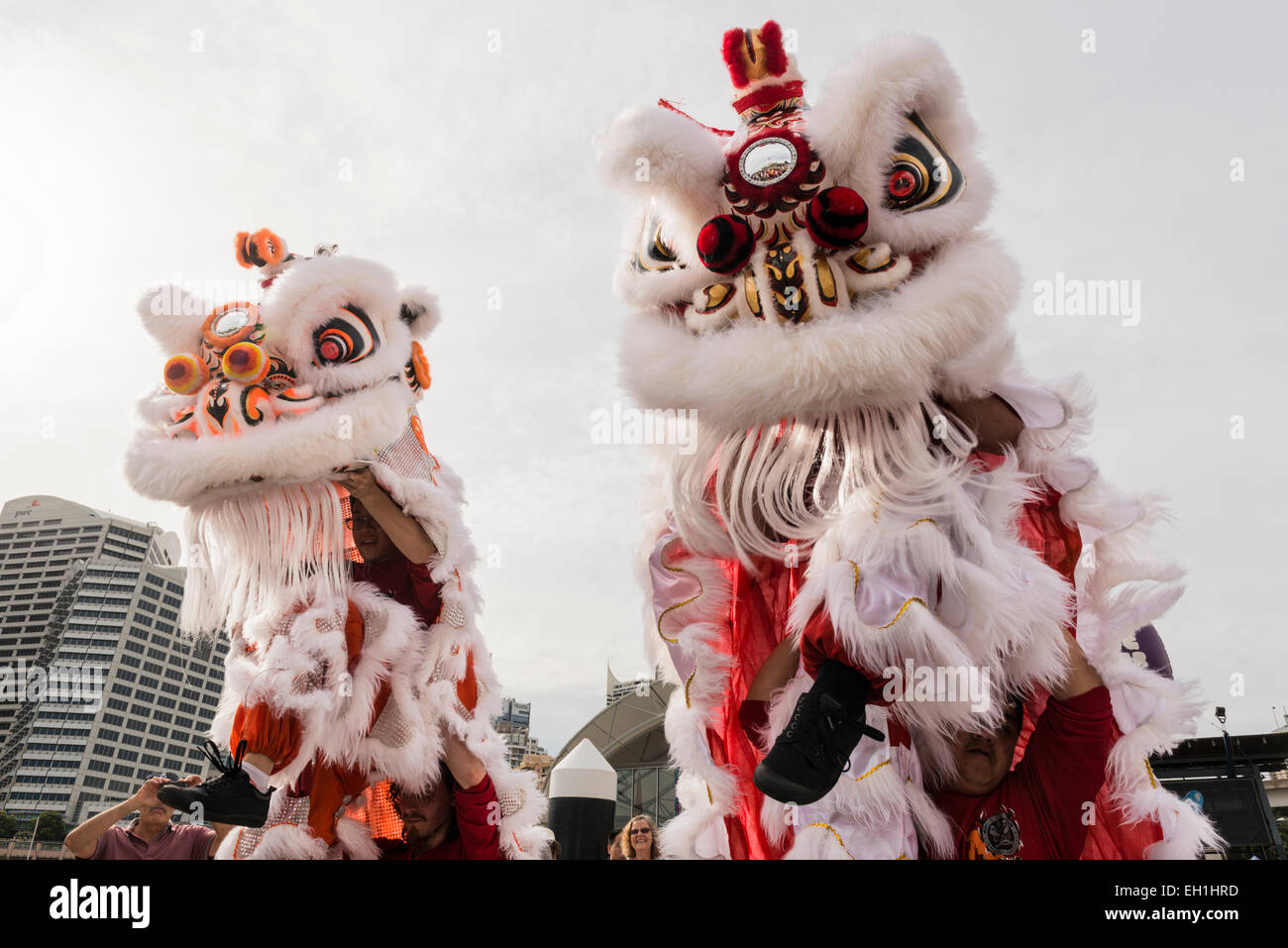 chinese new year sydney celebrations