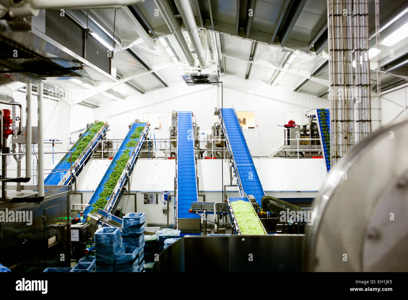 Vegetable Factory High Resolution Stock Photography and Images Alamy