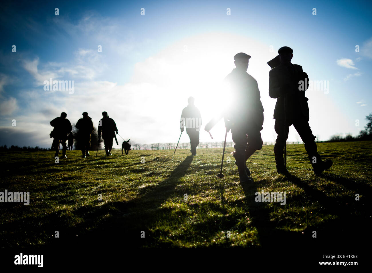 Landscape photo of male guns walking to the next drive on a game shoot in England, UK Stock Photo