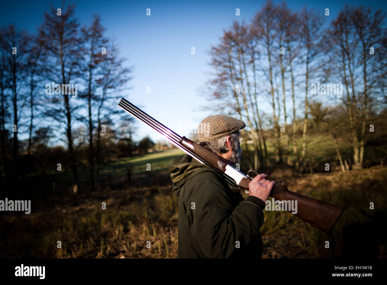 Photo of a man holding a gun over his shoulder on a game shoot in England, UK Stock Photo