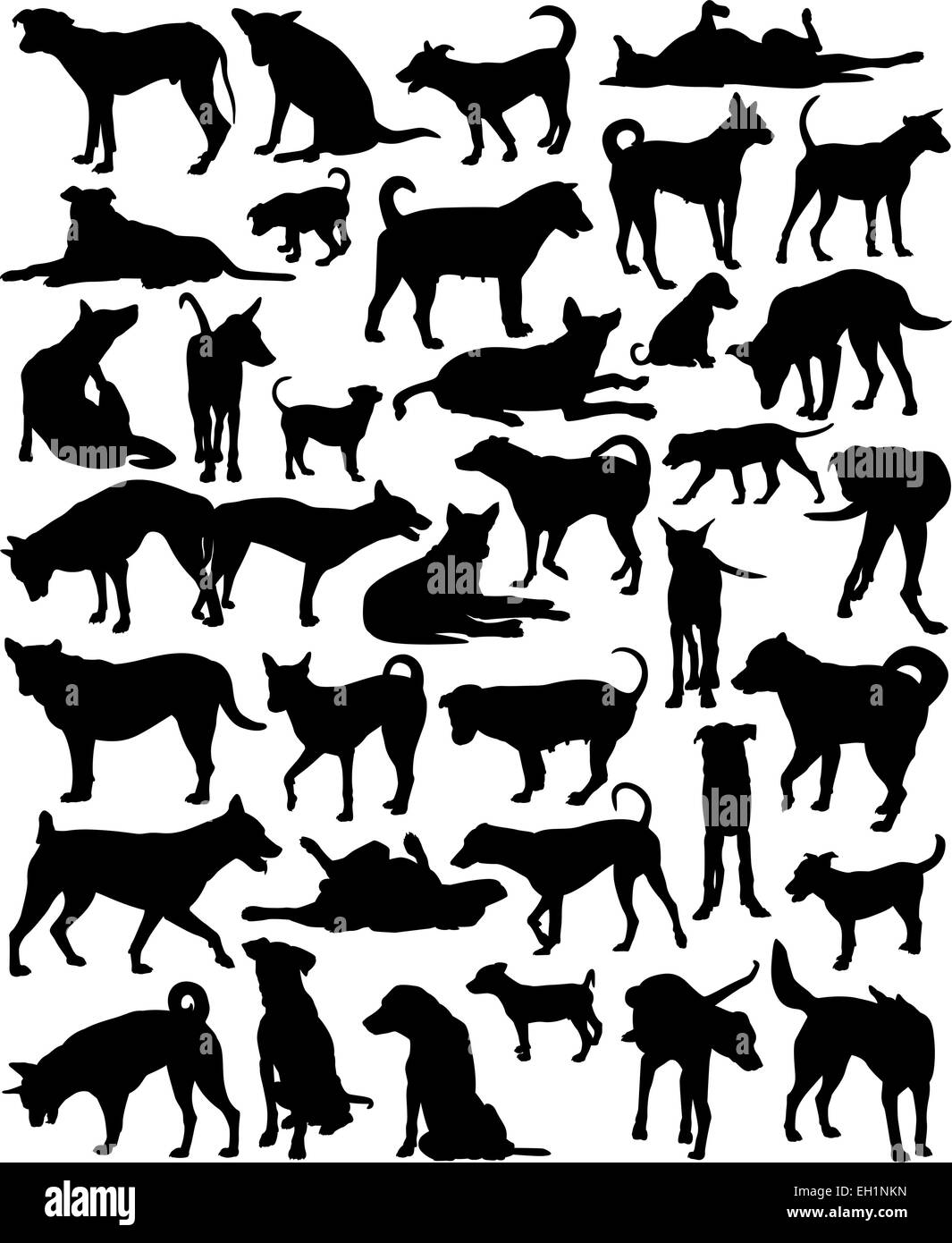 Collection of editable vector silhouettes of a motley group of Bangkok street dogs Stock Vector