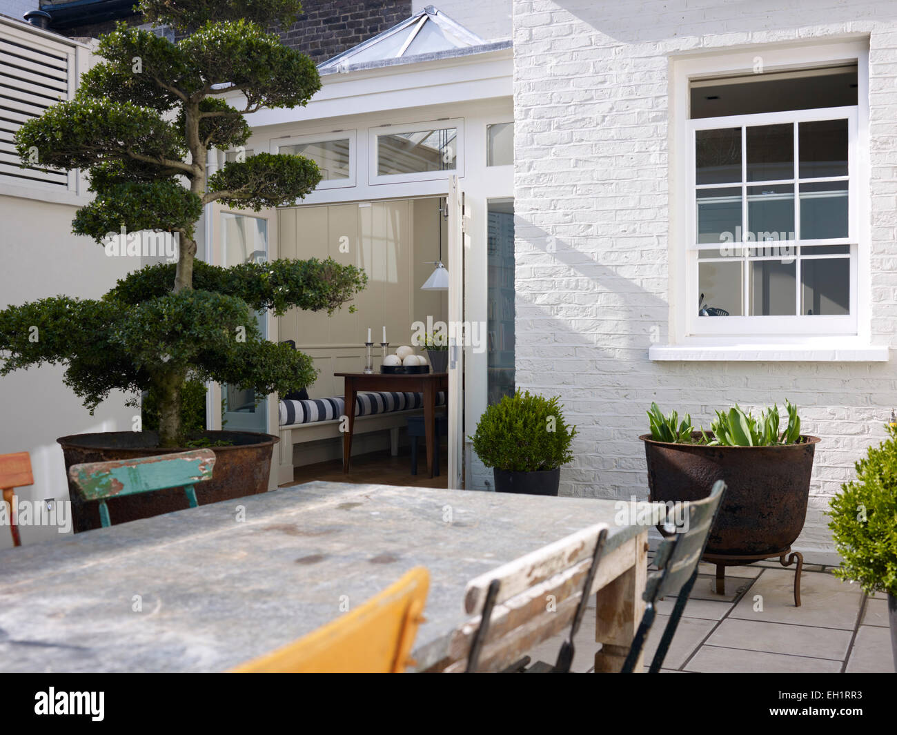 Tree in large plant pot, zinc-topped outdoor dining table and vintage metal chairs in paved back yard of residential house, Burlington Road, London, England, UK Stock Photo