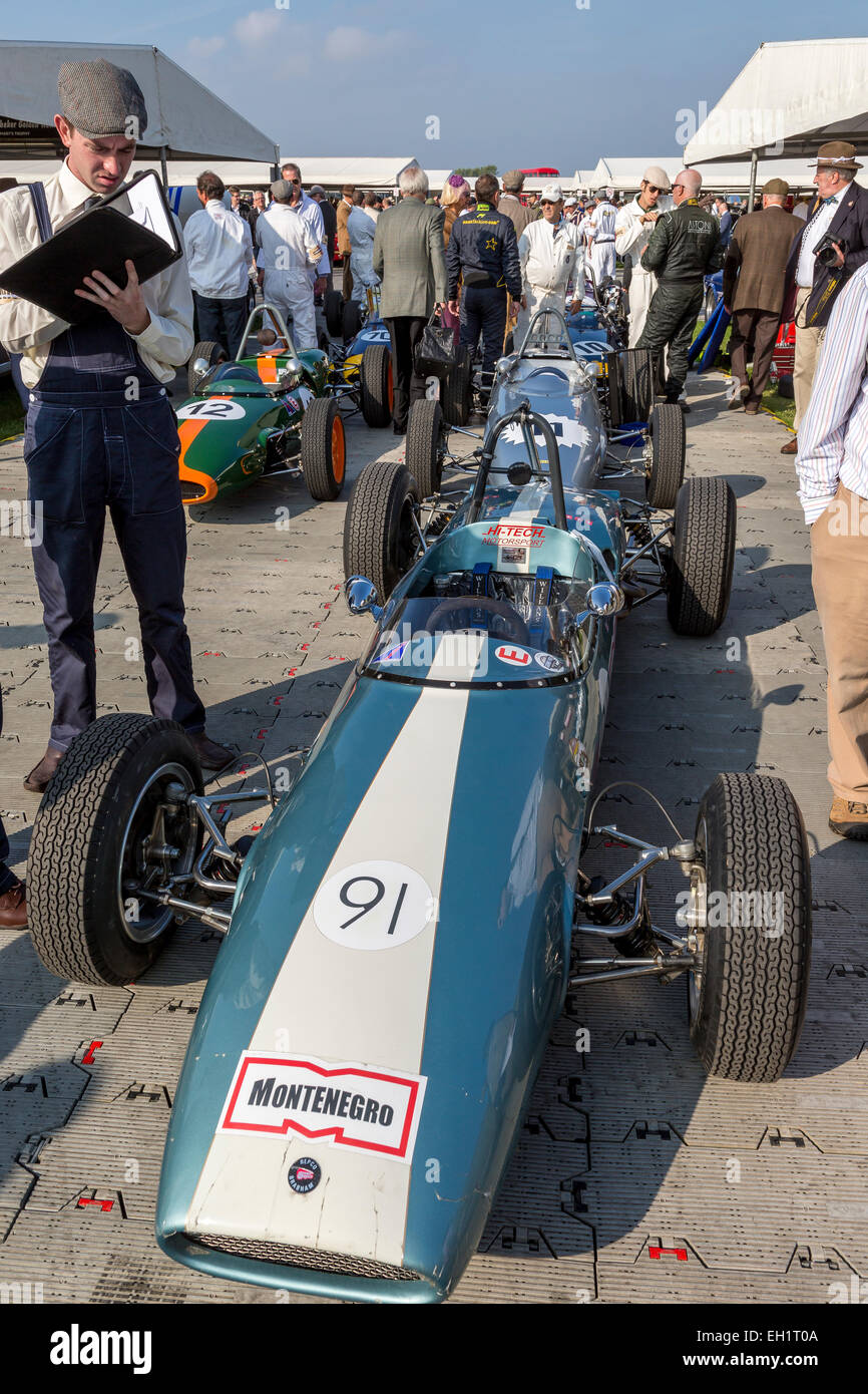 BRABHAM - FORD COSWORTH BT44B n.7