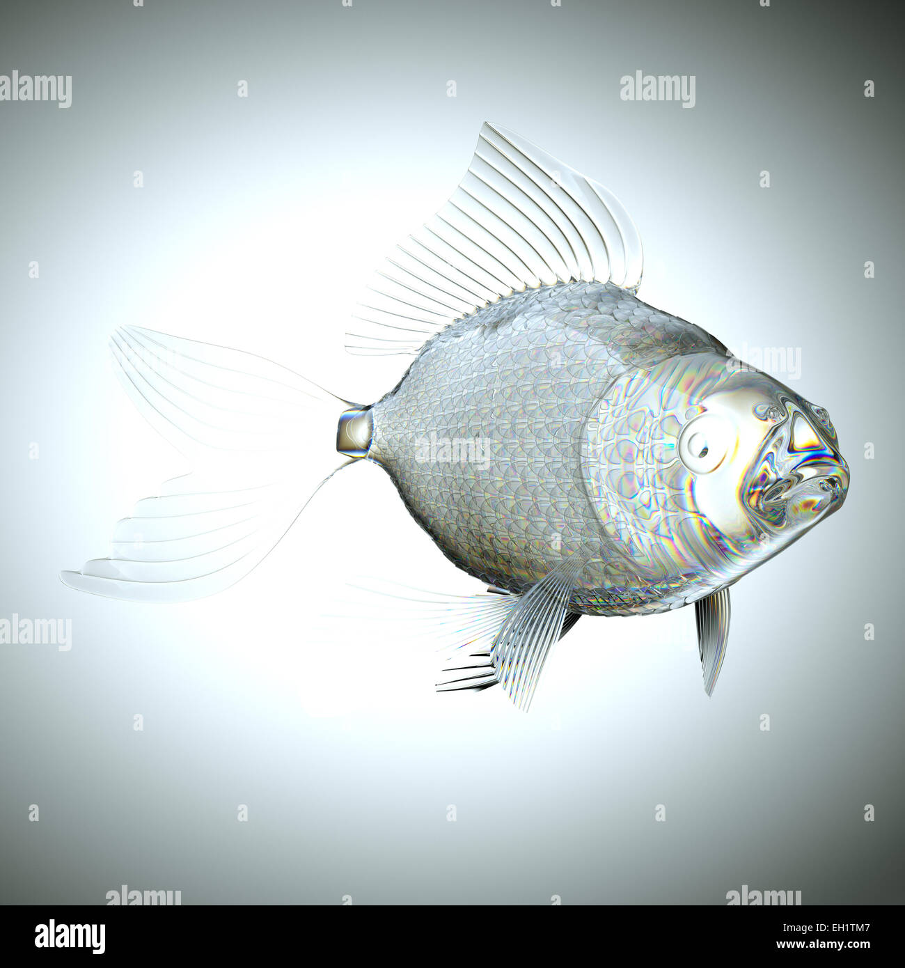 Glassy semitransparent fish with scales and fins. Large resolution