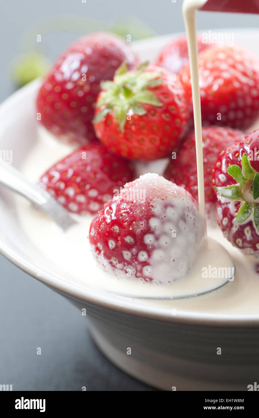Fresh sweet strawberries with milk, cream and sugar. Stock Photo