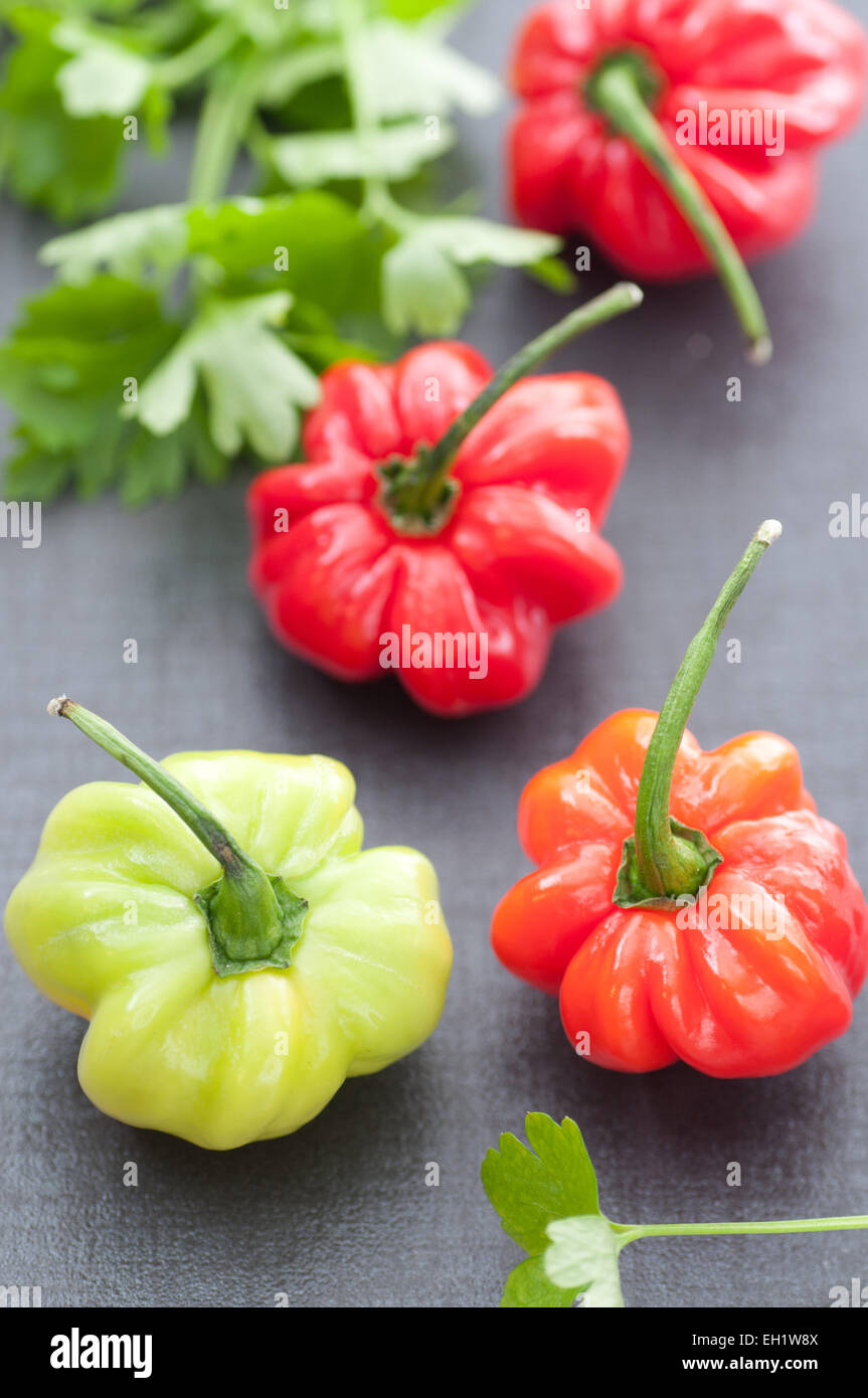 Fresh green, red and orange hot habanero chili peppers. Stock Photo