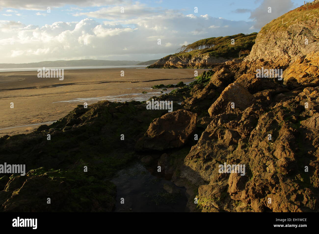 Silverdale sands silverdale peninsula limestone cliffs beach wooded