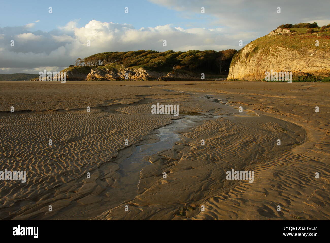 Silverdale sands silverdale peninsula limestone cliffs beach wooded