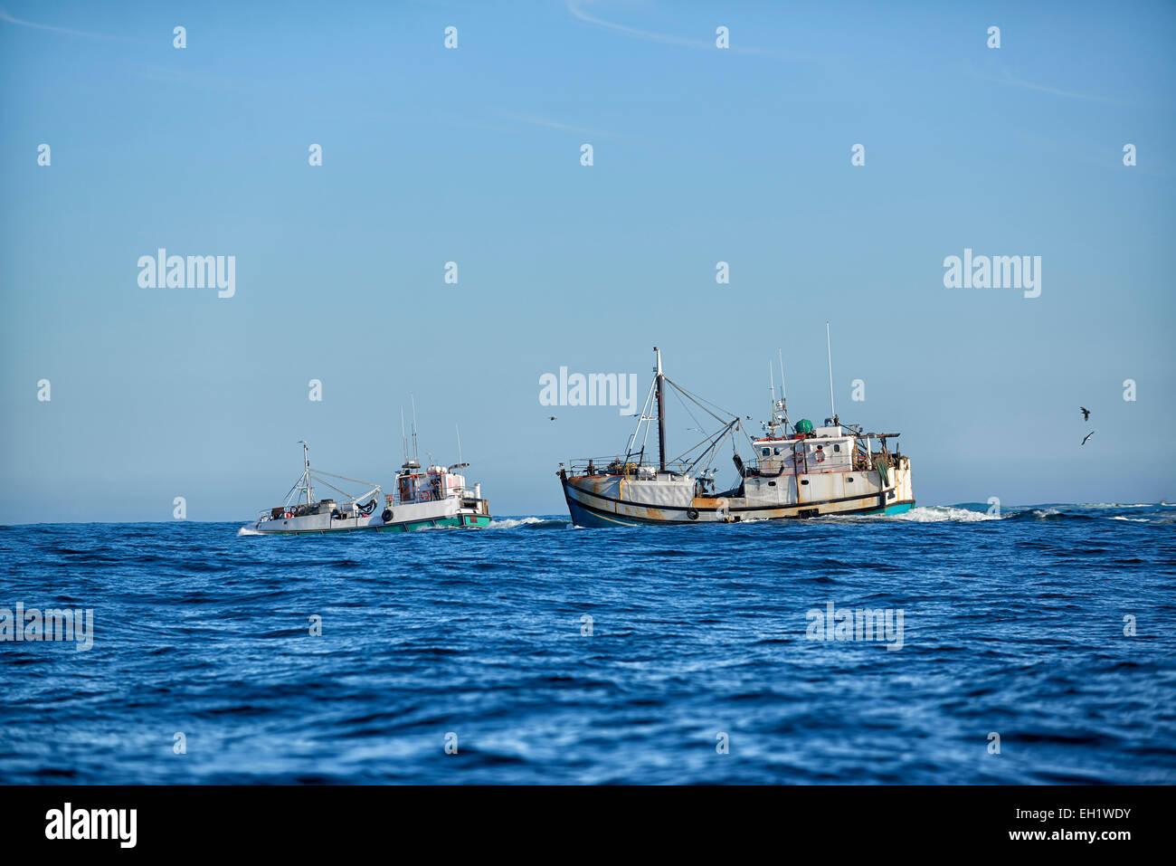 Fishing fisherman boat south africa hires stock photography and images
