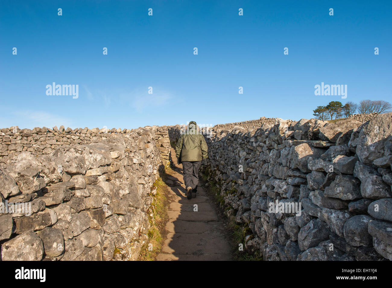 People rambling walking on footpath between dry stone walls in the english countryside rural landscape Stock Photo