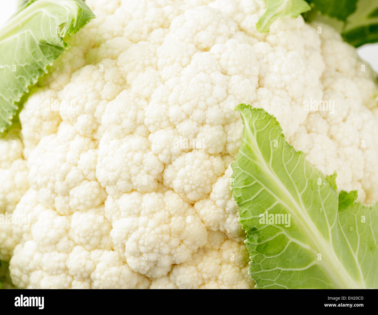 cauliflower Stock Photo