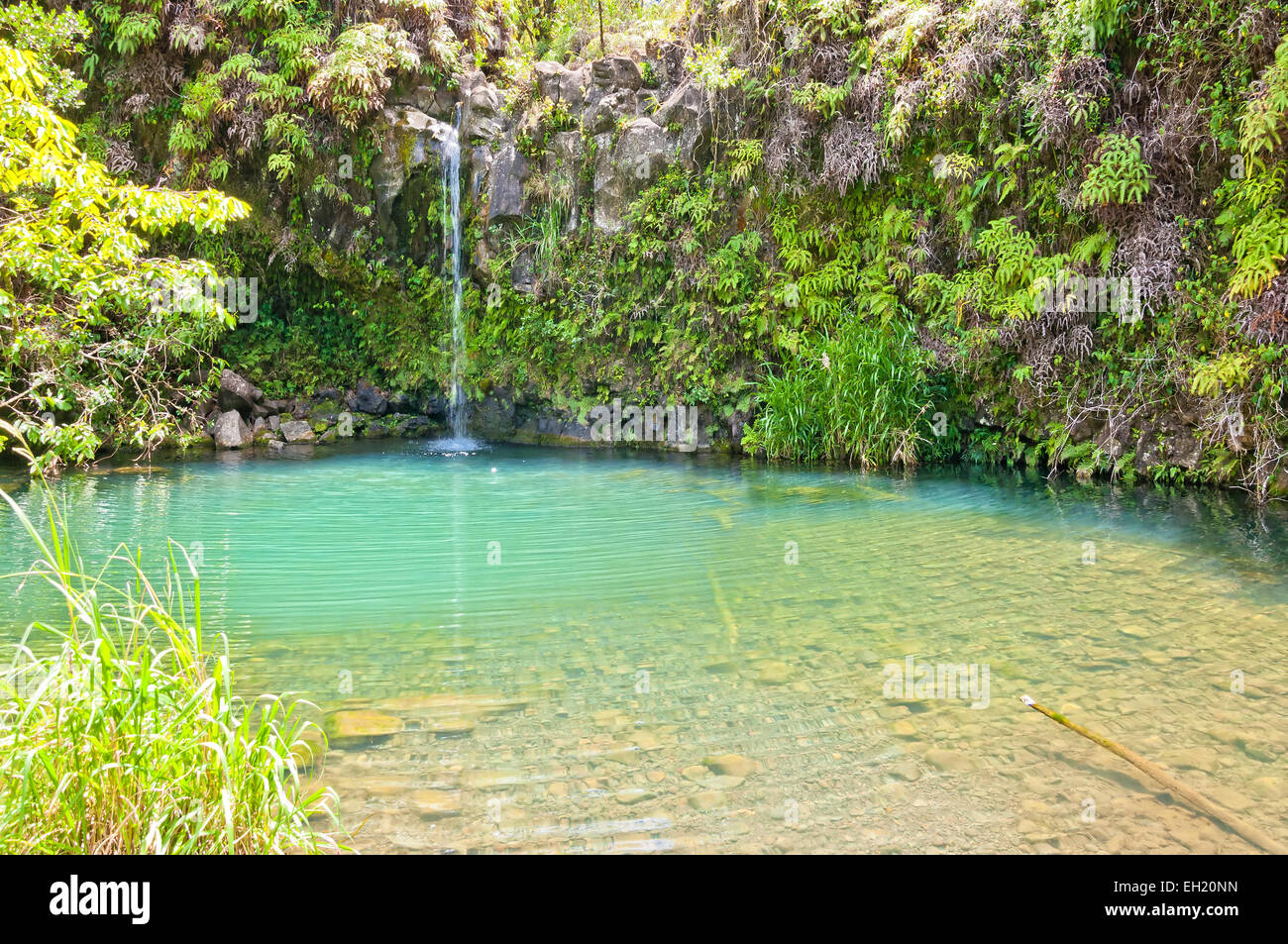 Day View Of Spring Fed Pool On The Road To Hana Maui Hawaii Stock Photo Alamy