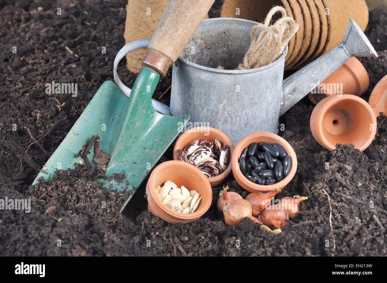 seeds in pot with gardening tools placed on soil to sowing Stock Photo