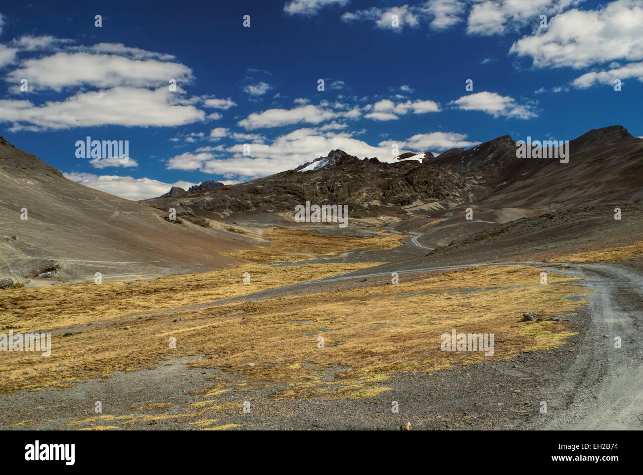 Trail leading into the Andes mountains in Bolivia, Choro trek Stock Photo