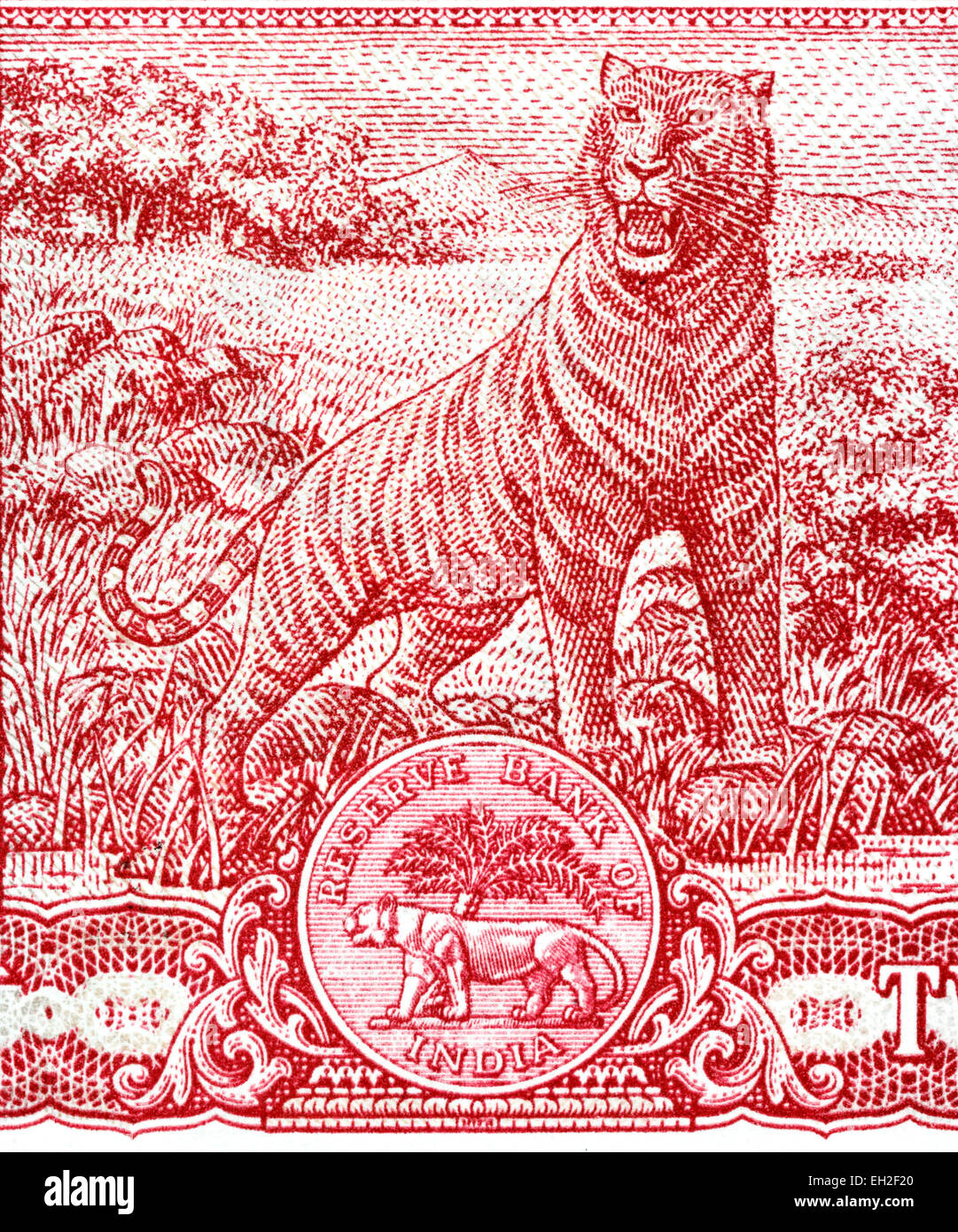 Bengal tiger from 2 rupees banknote, India, 1985 Stock Photo