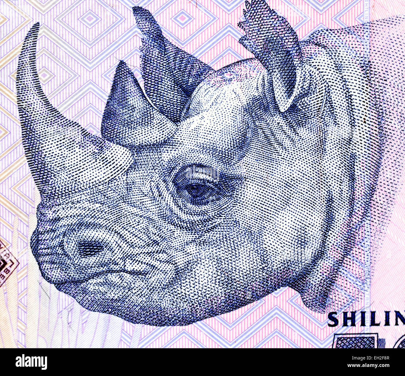 Black Rhinoceros (Diceros bicornis) from 5000 shillings banknote, Tanzania, 2010 Stock Photo
