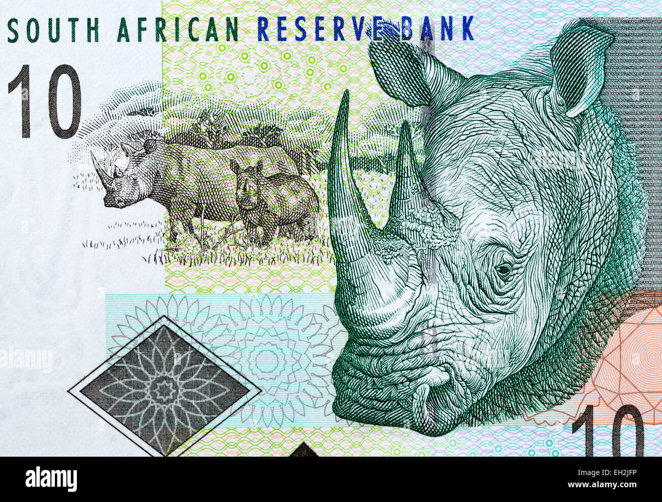 White Rhinoceros from 10 rand banknote, South Africa, 2005 Stock Photo