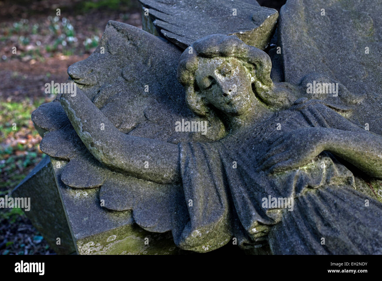 Fallen and broken headstone with the figure of an angel. Stock Photo