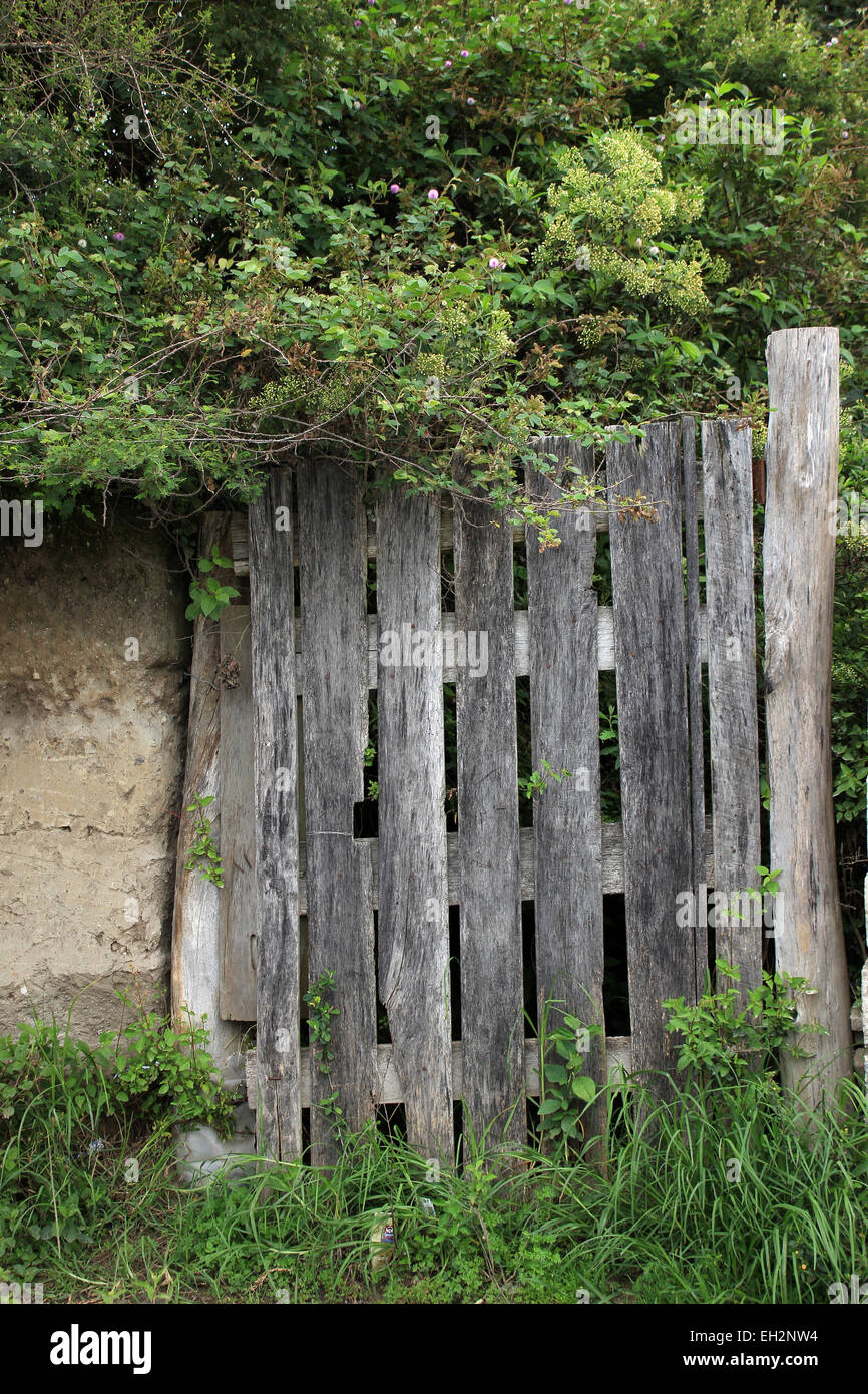 A wood gate in a wall covered by trees in Cotacachi, Ecuador Stock Photo