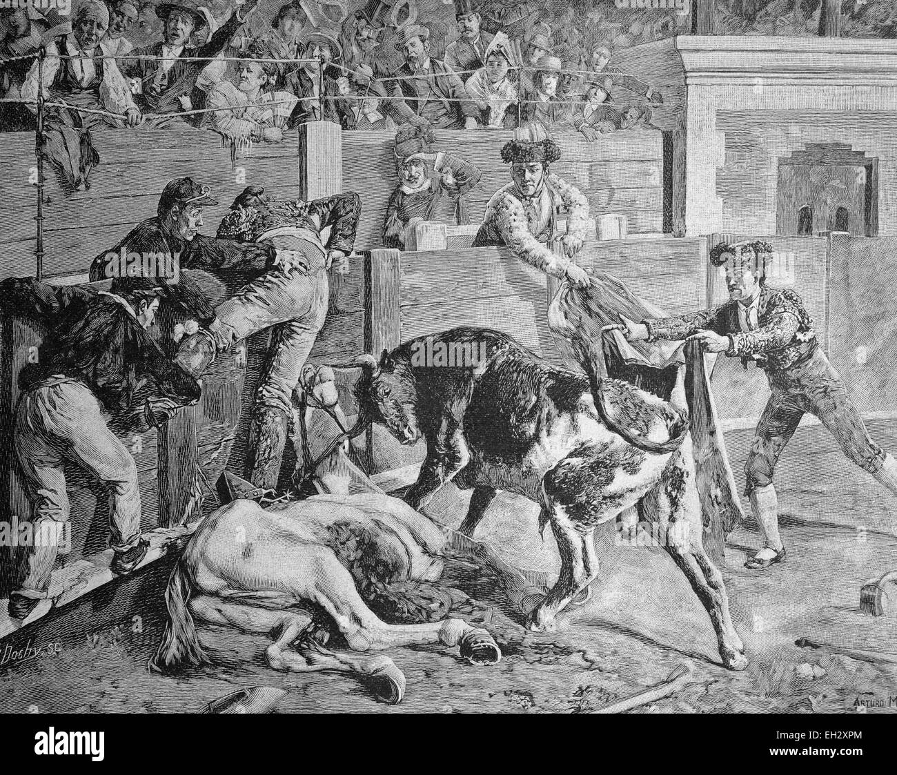 Bull fight, flight of an endangered matador, Spain, woodcut circa 1871 Stock Photo