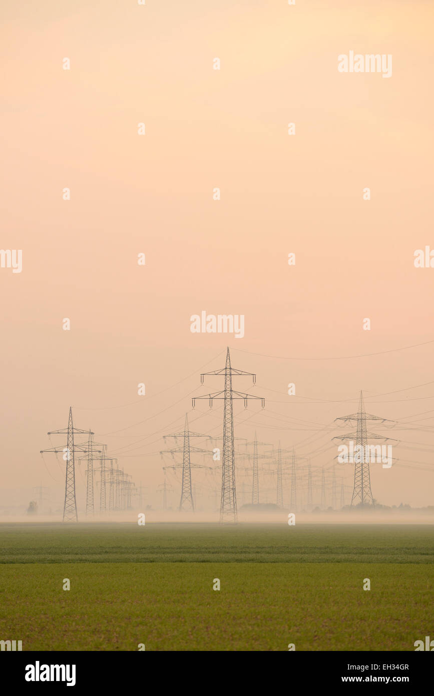 Power lines in early morning fog, Hesse, Germany, Europe Stock Photo