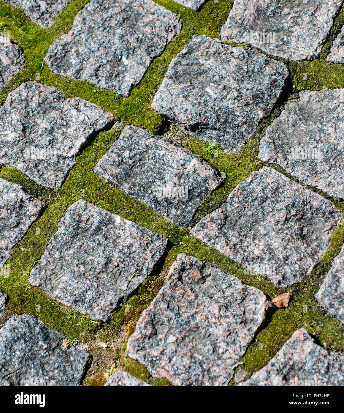 Closeup of permeable pavement in a public plaza Stock Photo Alamy