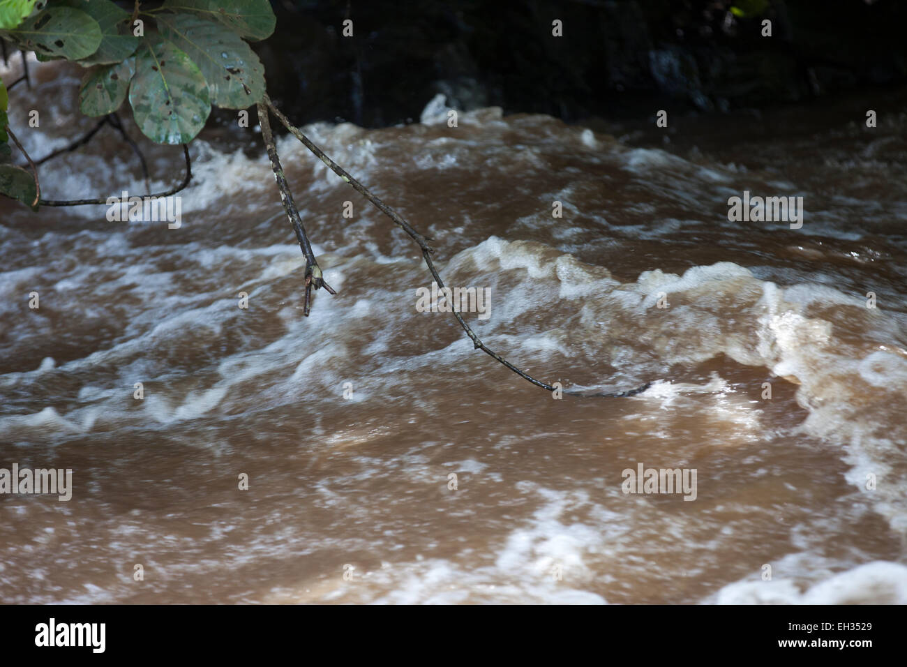 Sand collectors working in a fast-flowing river. This is an ideal breeding  site for the black flies that carry the disease river blindness or  onchocerciasis Stock Photo - Alamy