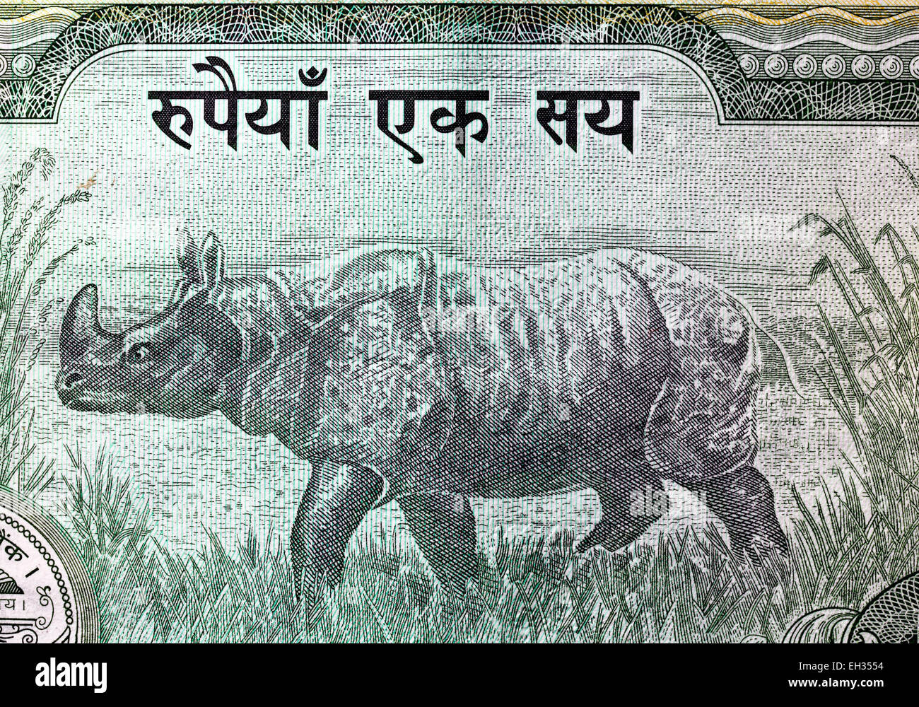 Rhinoceros from 100 rupees banknote, Nepal, 2008 Stock Photo