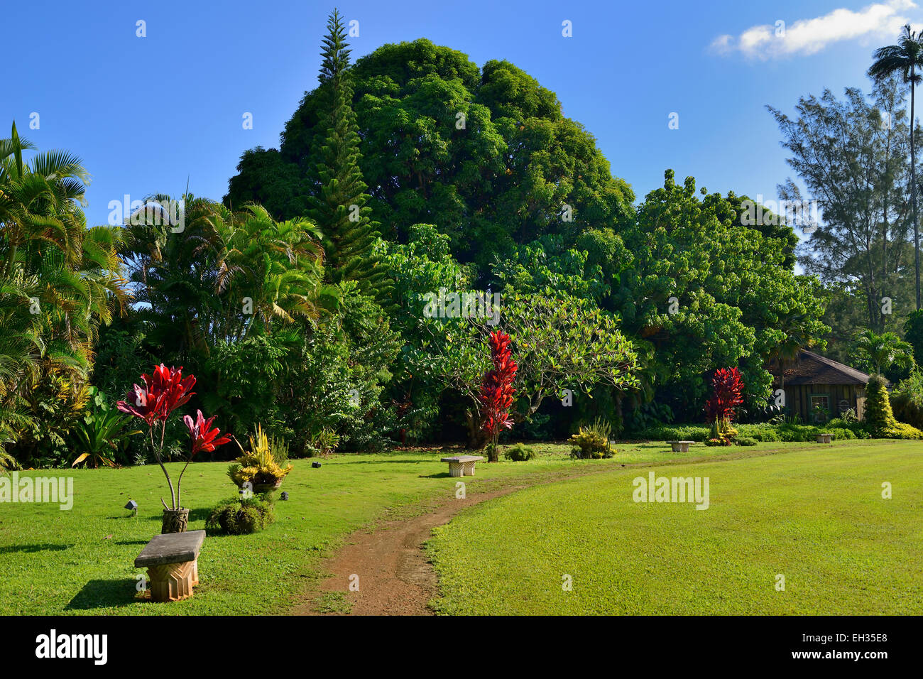 Kilohana Plantation garden, Lihue, Kauai, Hawaii, USA Stock Photo