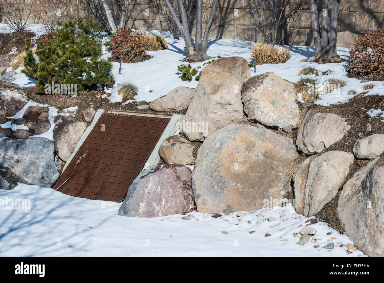 A storm drain within a bioswale and rain garden during winter Stock Photo